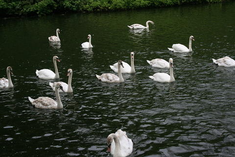IMG 7378