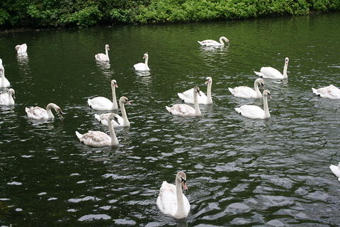 IMG 7379
