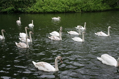 IMG 7380