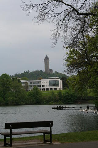 IMG 7386