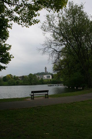 IMG 7388