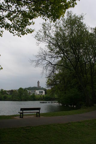 IMG 7389