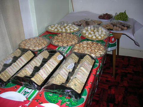 DSCN4130