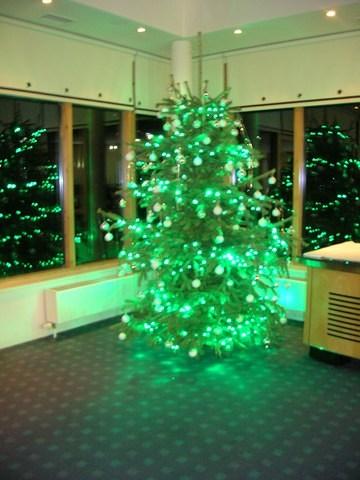 tree