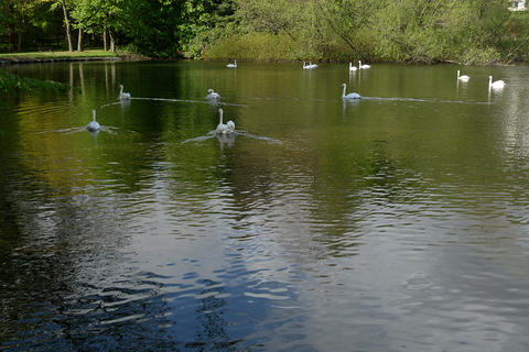 P1020903