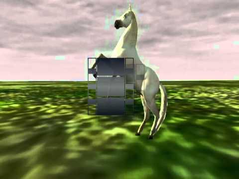 sandbox - iclone4 - horse walks and runs