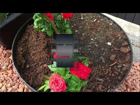 Garden Transformation