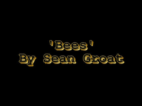 bees 1