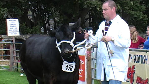 County Show 08