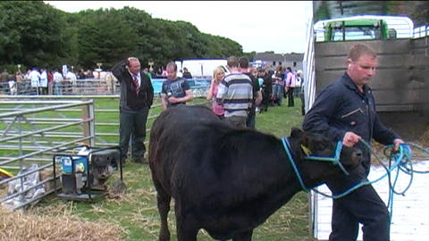 County Show 18