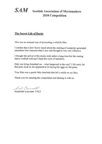 Crit - The Secret Life of Ducks - SAM 2010 - Annabelle Lancaster