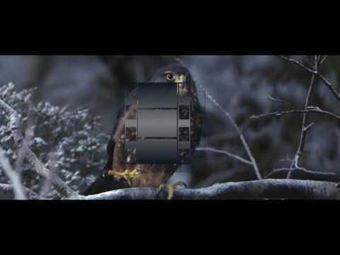 Waitrose Christmas Advert 2016