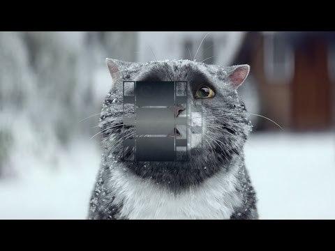 Sainsbury’s OFFICIAL Christmas Advert 2015 – Mog’s Christmas Calamity