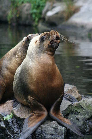 At the zoo