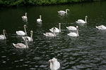 IMG 7378