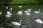 IMG 7380