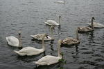 IMG 7381