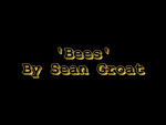 bees 1