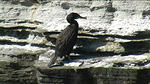 Birsay 05