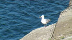 Birsay 06