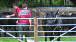 County Show 05