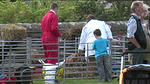 County Show 12