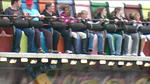 County Show 16