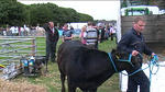 County Show 18