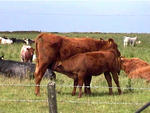 triptoorkney 05