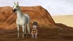 cowboy00059