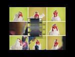 The Muppets: Classical Chicken
