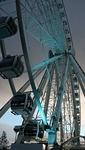 Wheel at The Point